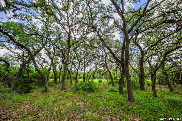 147 Gray Wolf Property Photo 46