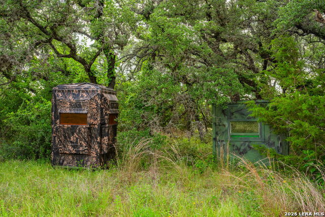 147 Gray Wolf Property Photo 47