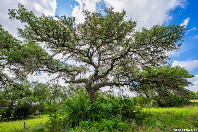 147 Gray Wolf Property Photo 49