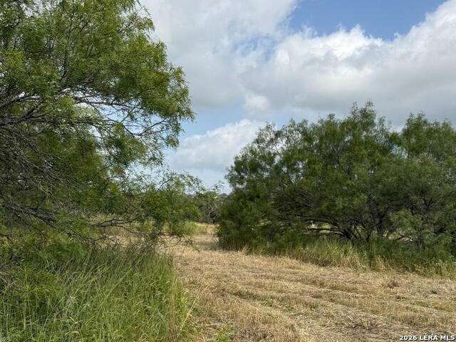 585 County Road 768 Property Photo 5