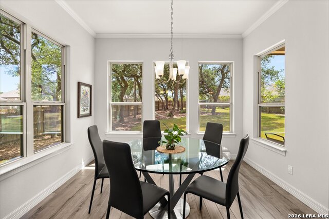 2 Canario Ln Property Photo 29