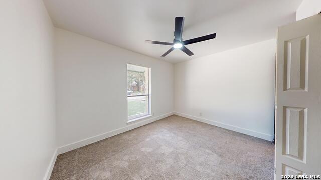 318 Renee Property Photo 16