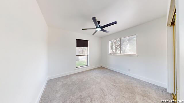 318 Renee Property Photo 20