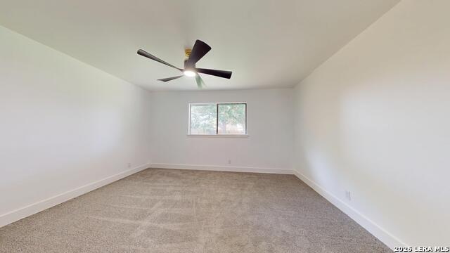 318 Renee Property Photo 24