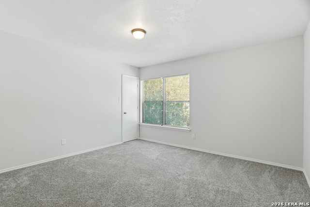 8138 Elktree Pass Property Photo 17