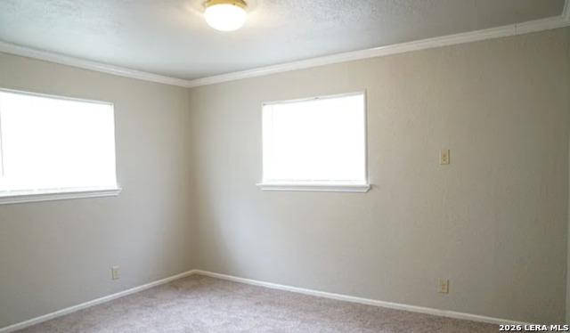 1129 Shadwell Dr Property Photo 8