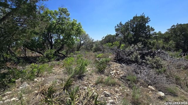 Tbd Doe Trail Property Photo 2
