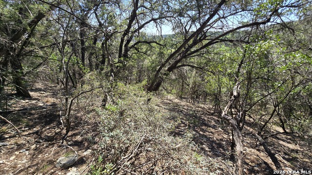 Tbd Doe Trail Property Photo 4