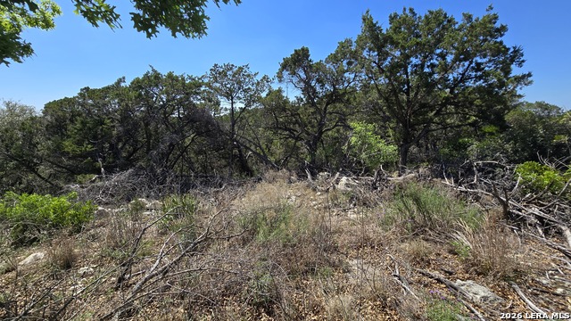 Tbd Doe Trail Property Photo 5