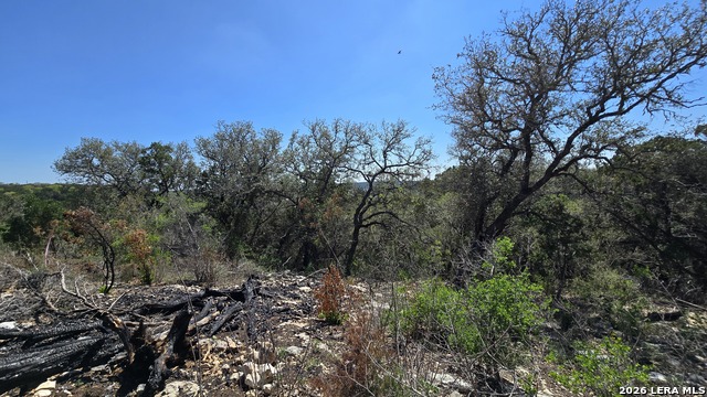 Tbd Doe Trail Property Photo 7