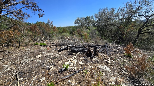 Tbd Doe Trail Property Photo 8