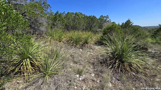 Tbd Doe Trail Property Photo 9