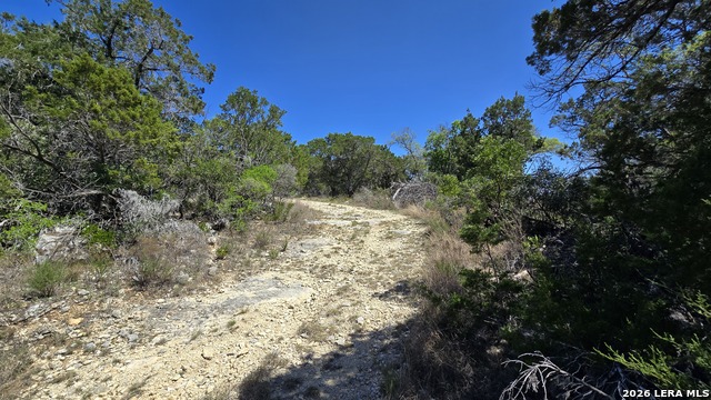 Tbd Doe Trail Property Photo 15