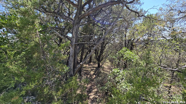 Tbd Doe Trail Property Photo 16