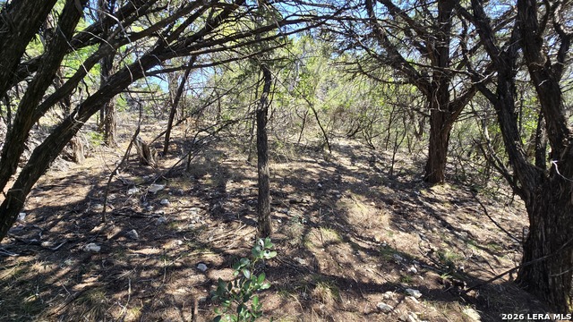Tbd Doe Trail Property Photo 17