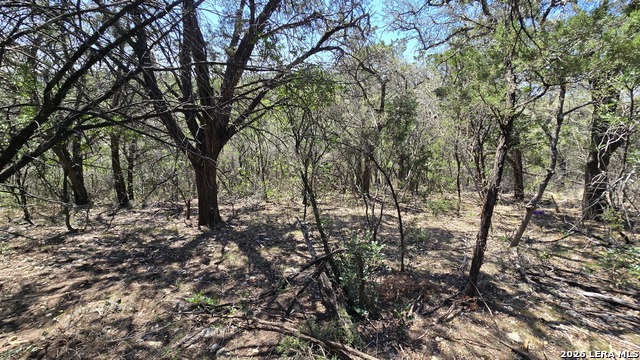 Tbd Doe Trail Property Photo 18