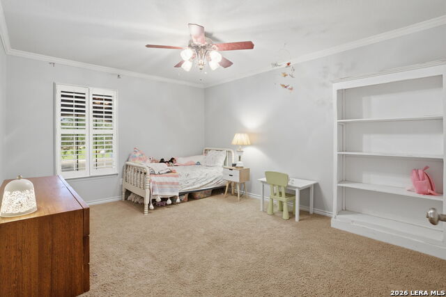 16426 Hillview Pass Dr Property Photo 30
