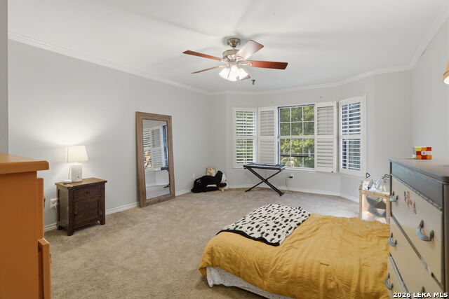 16426 Hillview Pass Dr Property Photo 31