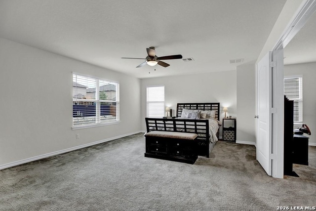 667 Anthem Ln Property Photo 16