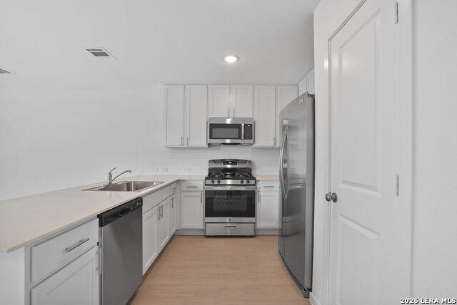 7316 Green Sapphire Property Photo 6