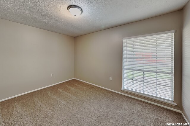 5815 Brambletree Street Property Photo 12