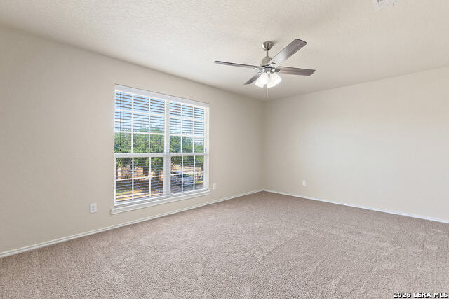 706 Scarlet Ibis Property Photo 26