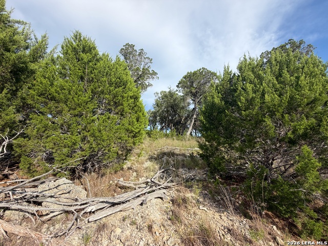 233 Enigma Property Photo 16