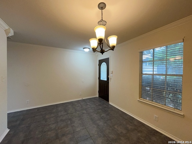 2611 Thunder Gulch Property Photo 11