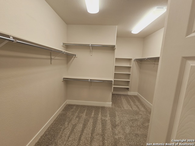 10544 Briceway Bay Property Photo 25