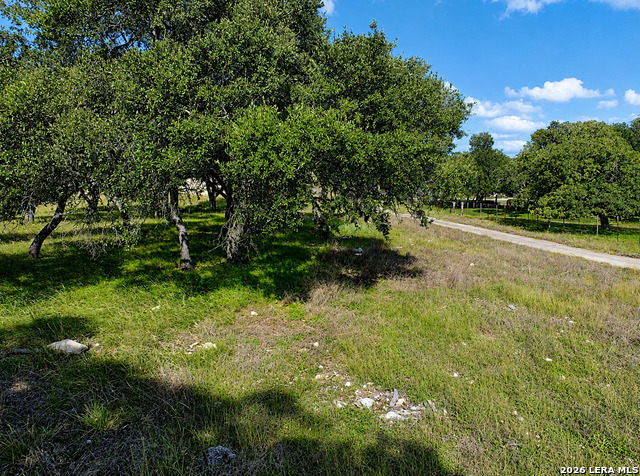 32670 Fm 3351 Property Photo 5