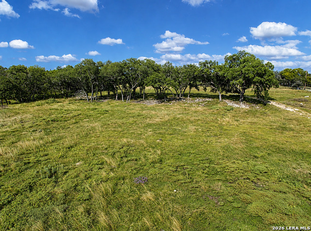 32670 Fm 3351 Property Photo 6