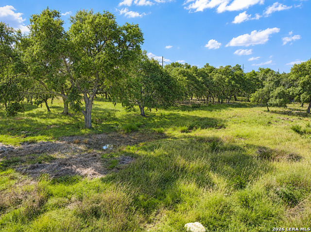 32670 Fm 3351 Property Photo 7
