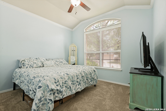10711 Palomino Bnd Property Photo 18