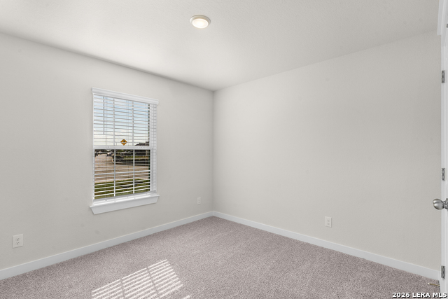 2703 Echinacea Path Property Photo 17