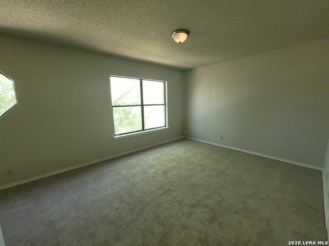 6110 Candletree Property Photo 7