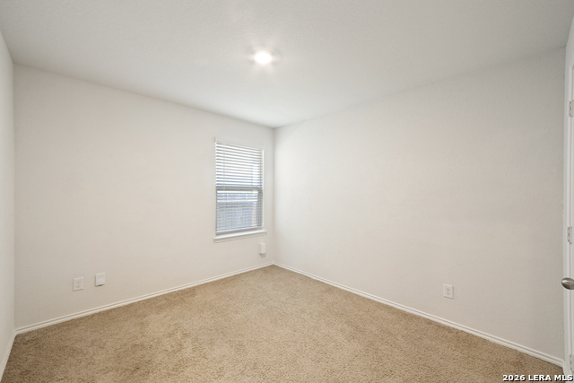 3203 Onion Creek Property Photo 19
