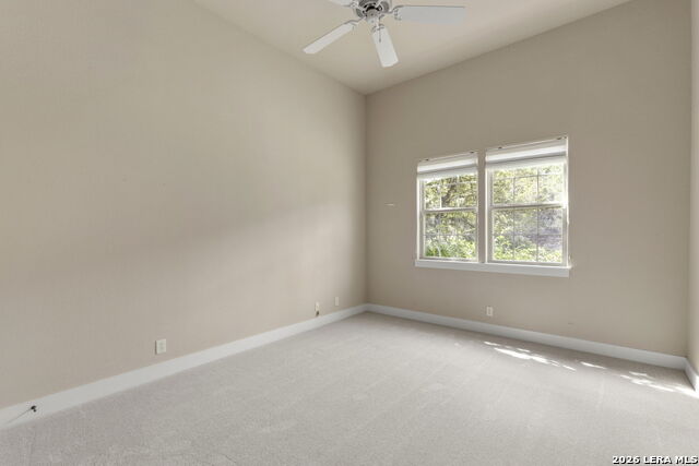 334 Park Ridge Property Photo 22