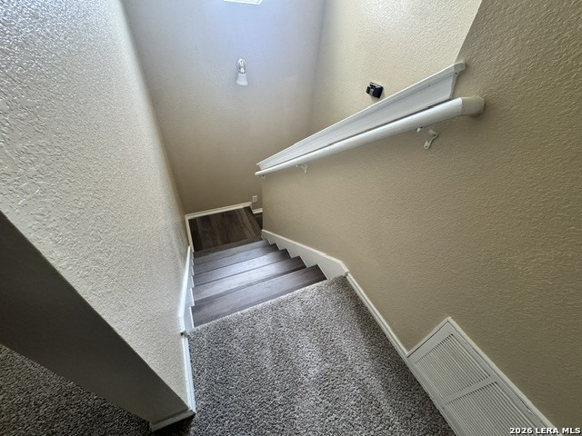 10719 Shaenmeadow Property Photo 13