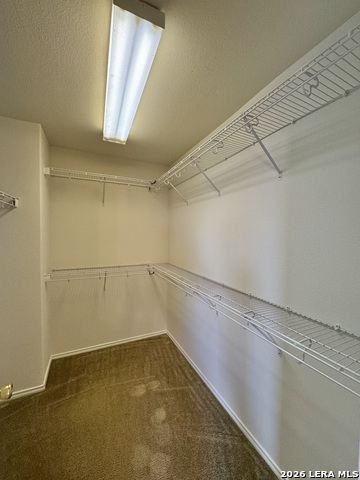 17307 Wayland Run Property Photo 15