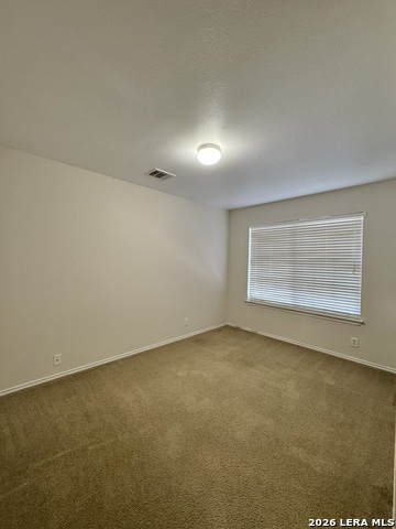 17307 Wayland Run Property Photo 20