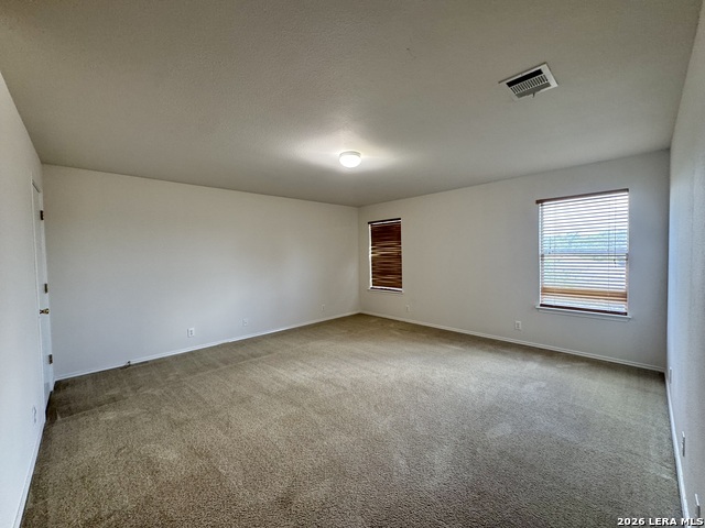 17307 Wayland Run Property Photo 21