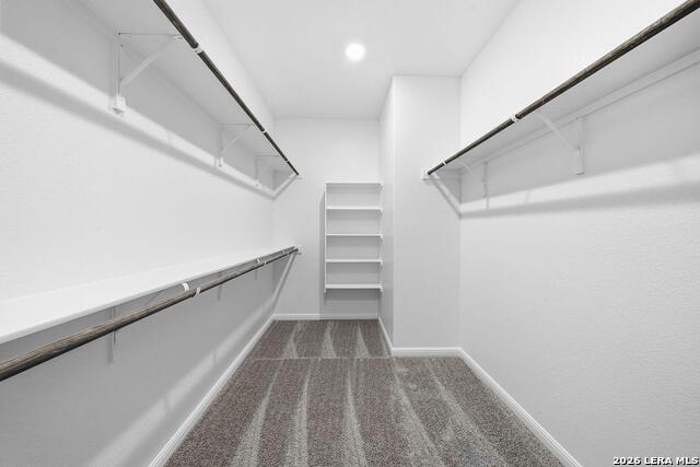 4946 Don Julio Property Photo 12