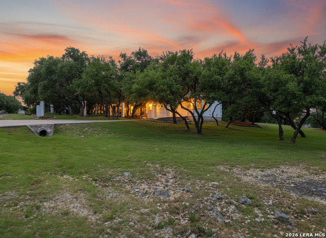 26307 Dancing Bear Property Photo 36