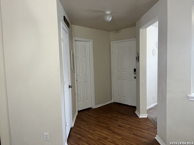 8019 Thicket Pass Property Photo 6