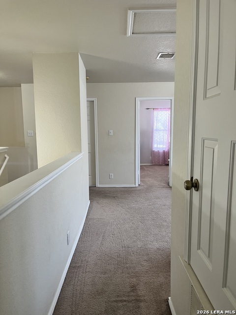 8019 Thicket Pass Property Photo 24