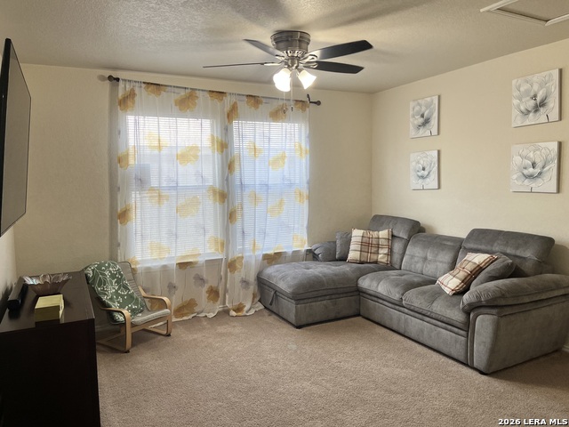 8019 Thicket Pass Property Photo 31