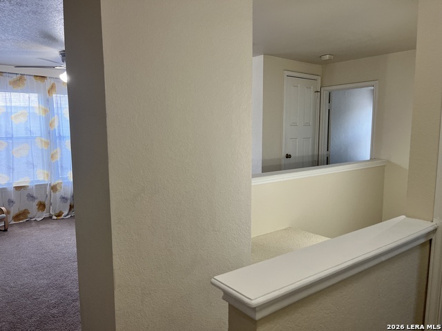 8019 Thicket Pass Property Photo 32