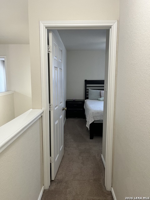8019 Thicket Pass Property Photo 35