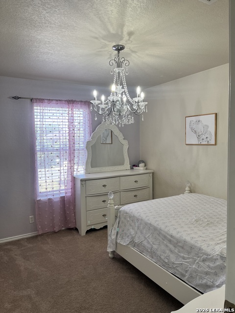 8019 Thicket Pass Property Photo 40