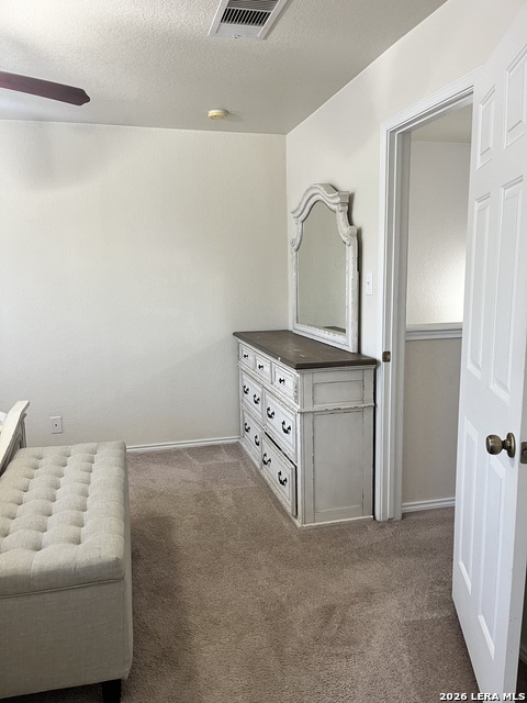 8019 Thicket Pass Property Photo 42